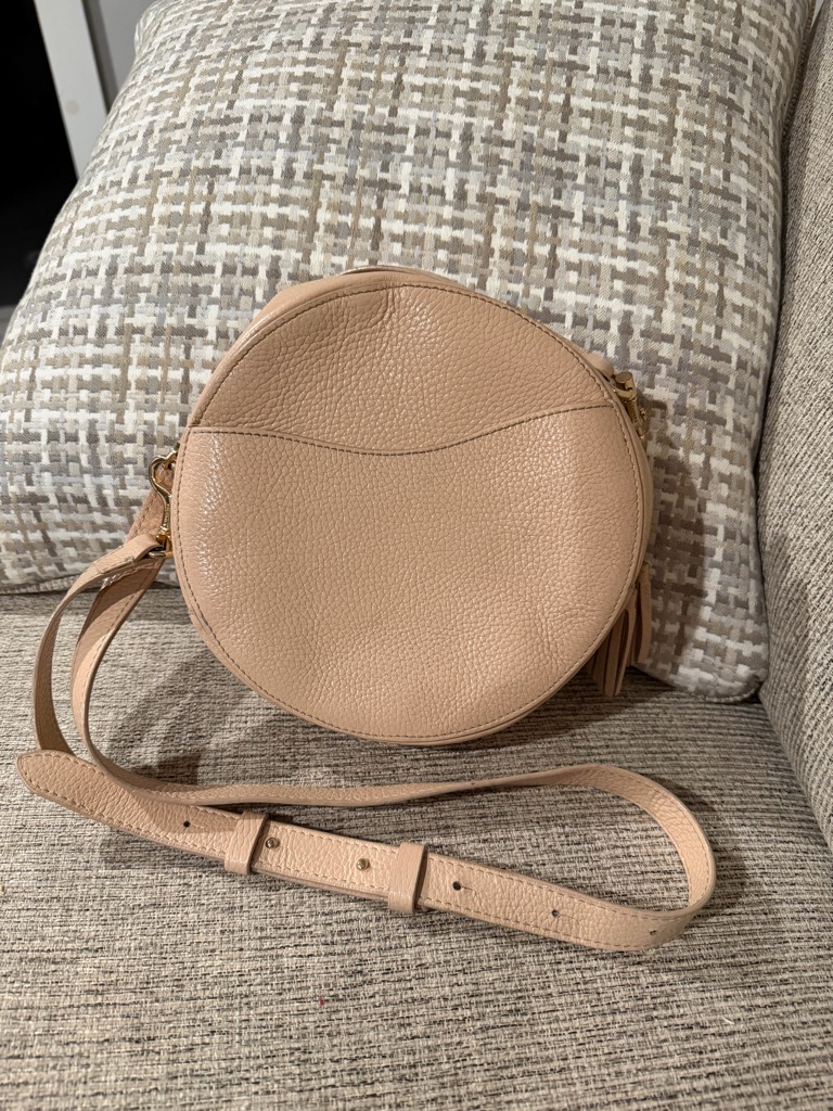 Cuyana Blush Leather Circle Crossbody Bag Minimalist Round Canteen Guc